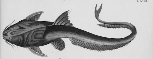 Chen-style Taijiquan class Berlin